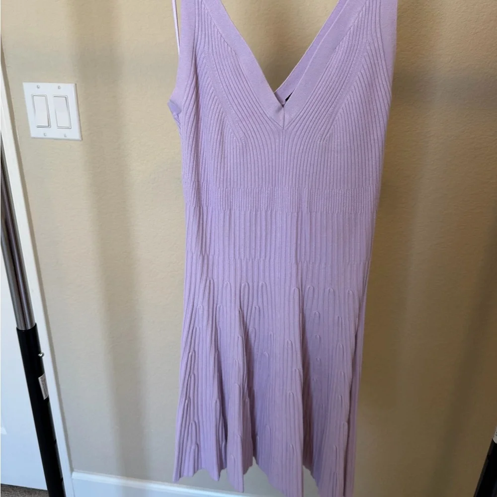 Express Lavender V-Neck Ribbed Knit Mini Dress - Picture 4 of 4